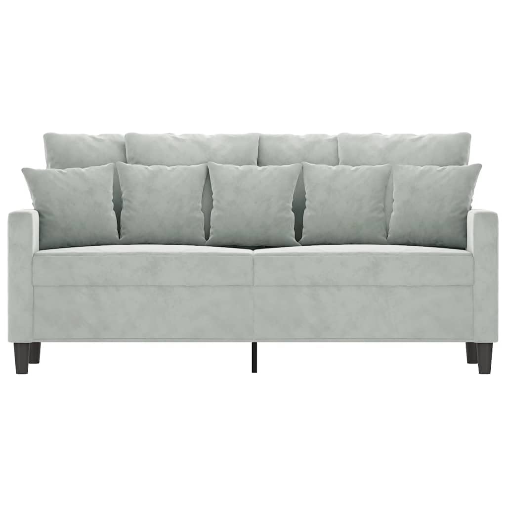 Light Gray Velvet 2-Seater Sofa with Metal Frame M91342