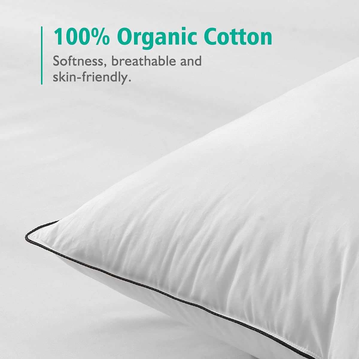 Organic Feather Down Pillows Set of 2 King Size 100% Cotton Cover S170