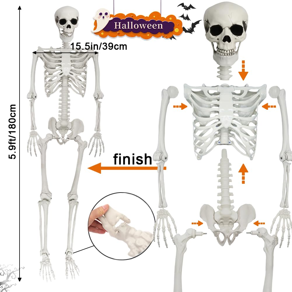 5.9FT Poseable Life Size Skeleton with Movable Joints V594