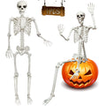 5.9FT Poseable Life Size Skeleton with Movable Joints V594
