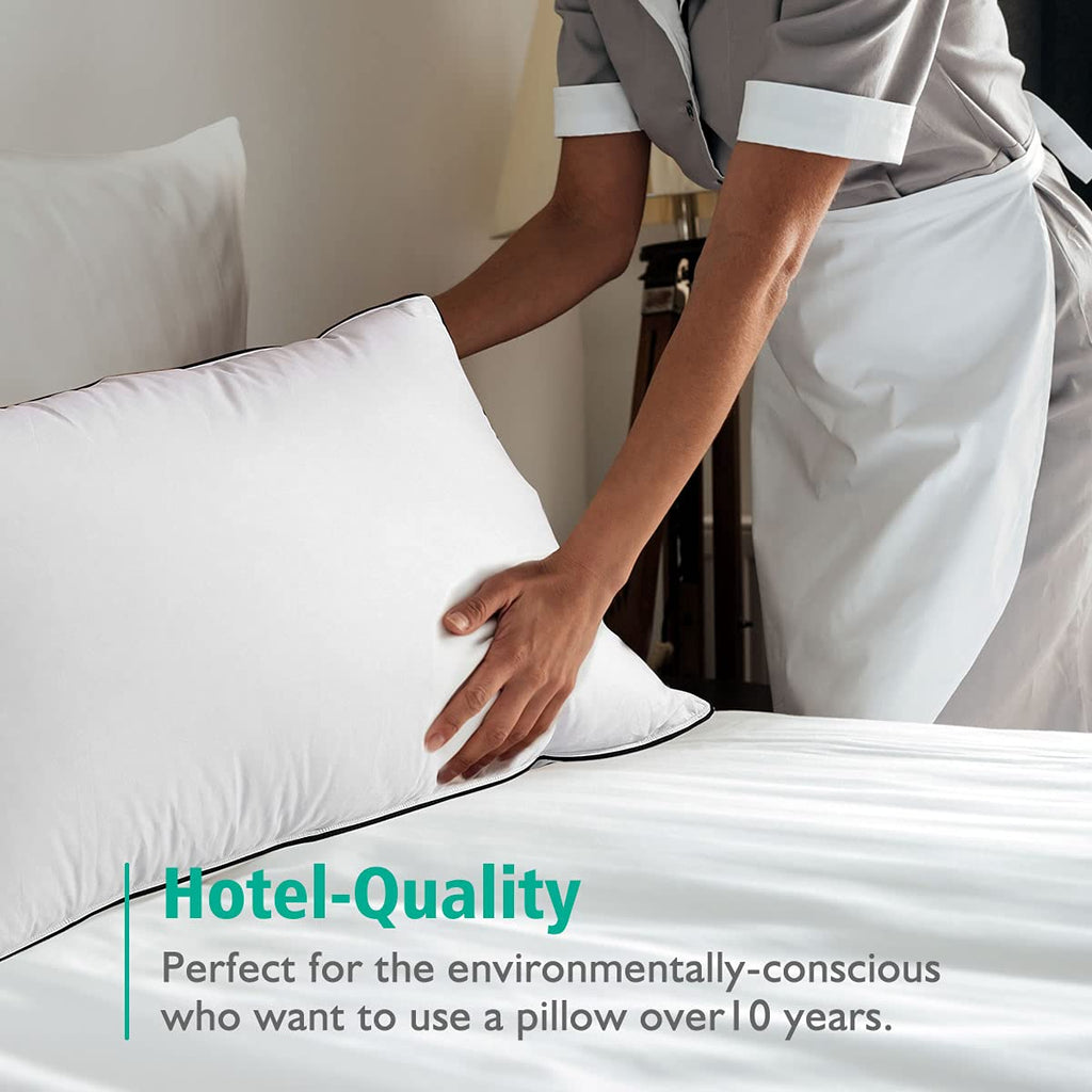 Organic Feather Down Pillows Set of 2 King Size 100% Cotton Cover S170