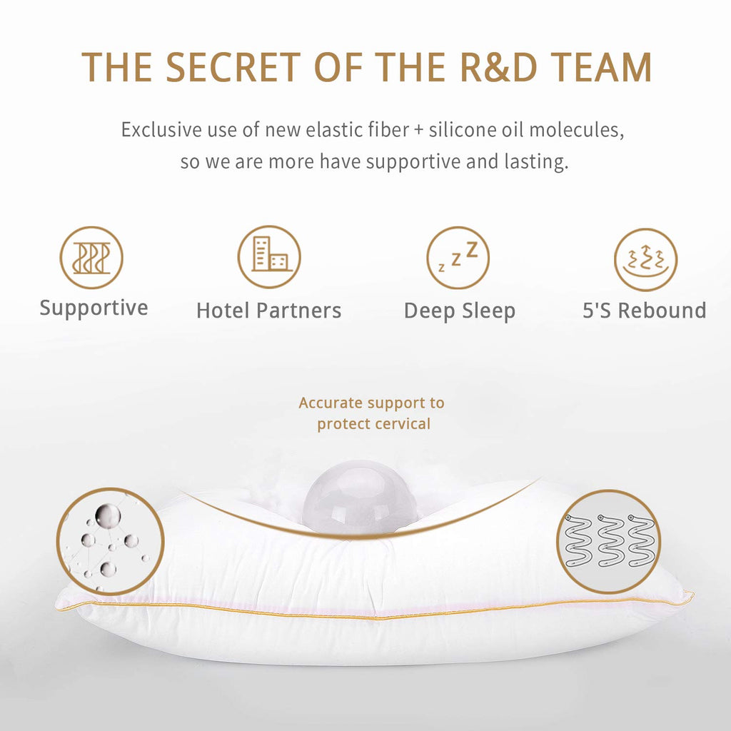 King Size Down Alternative Pillows Set of 2 I8921