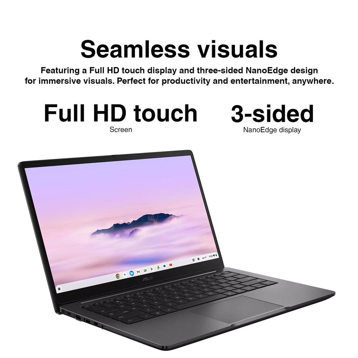 14" FHD Touchscreen Chromebook D177106