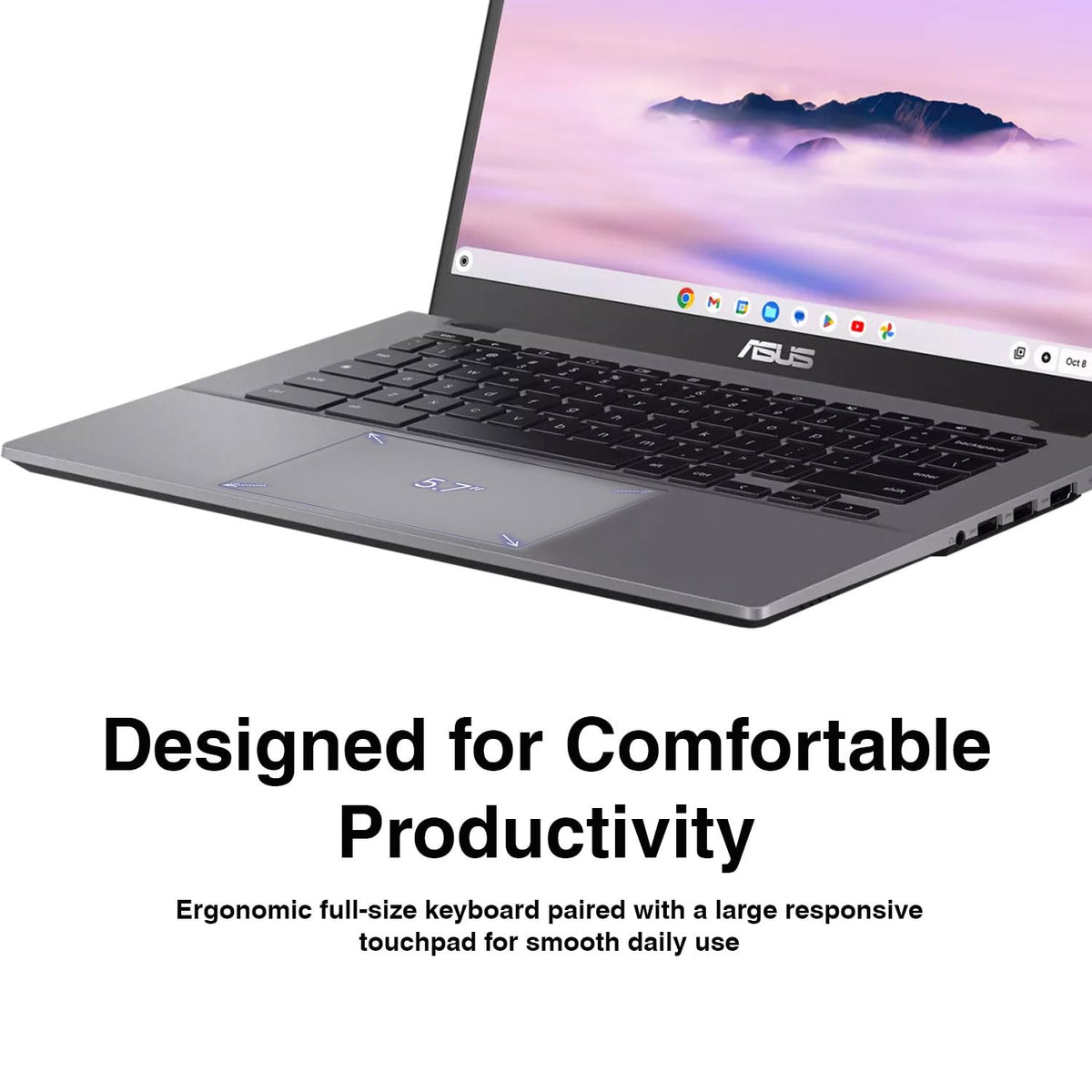 14" FHD Touchscreen Chromebook D177106