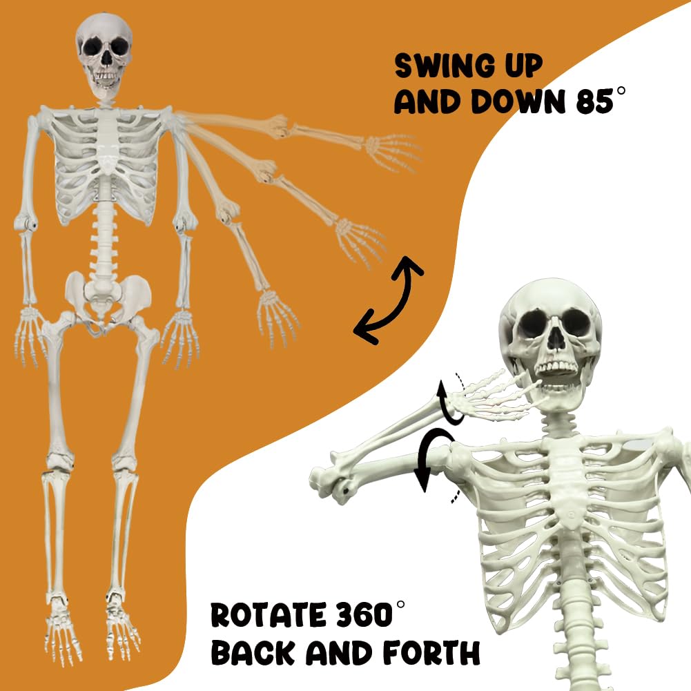 5.9FT Poseable Life Size Skeleton with Movable Joints V594