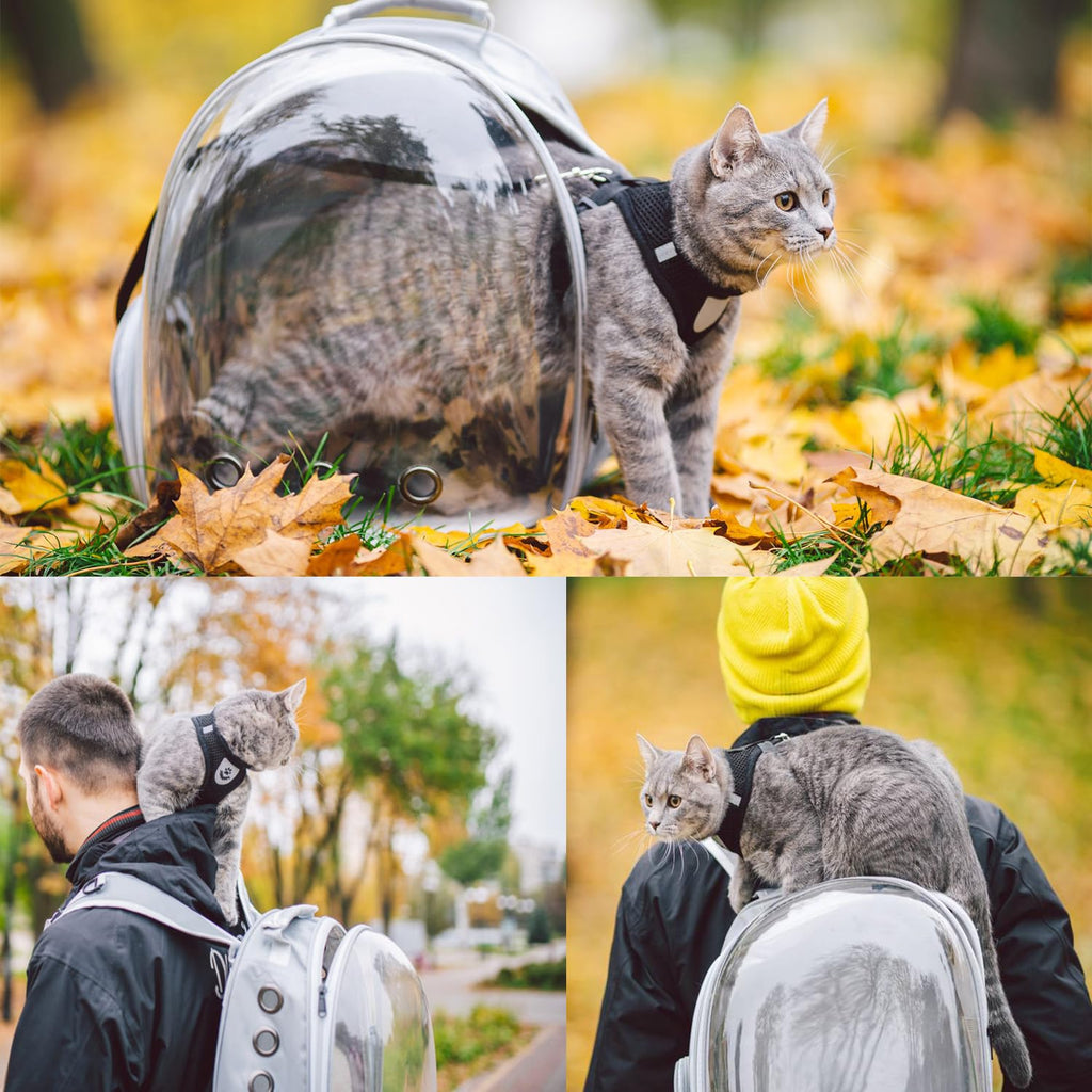 Grey Ventilated Cat Backpack Carrier Y669