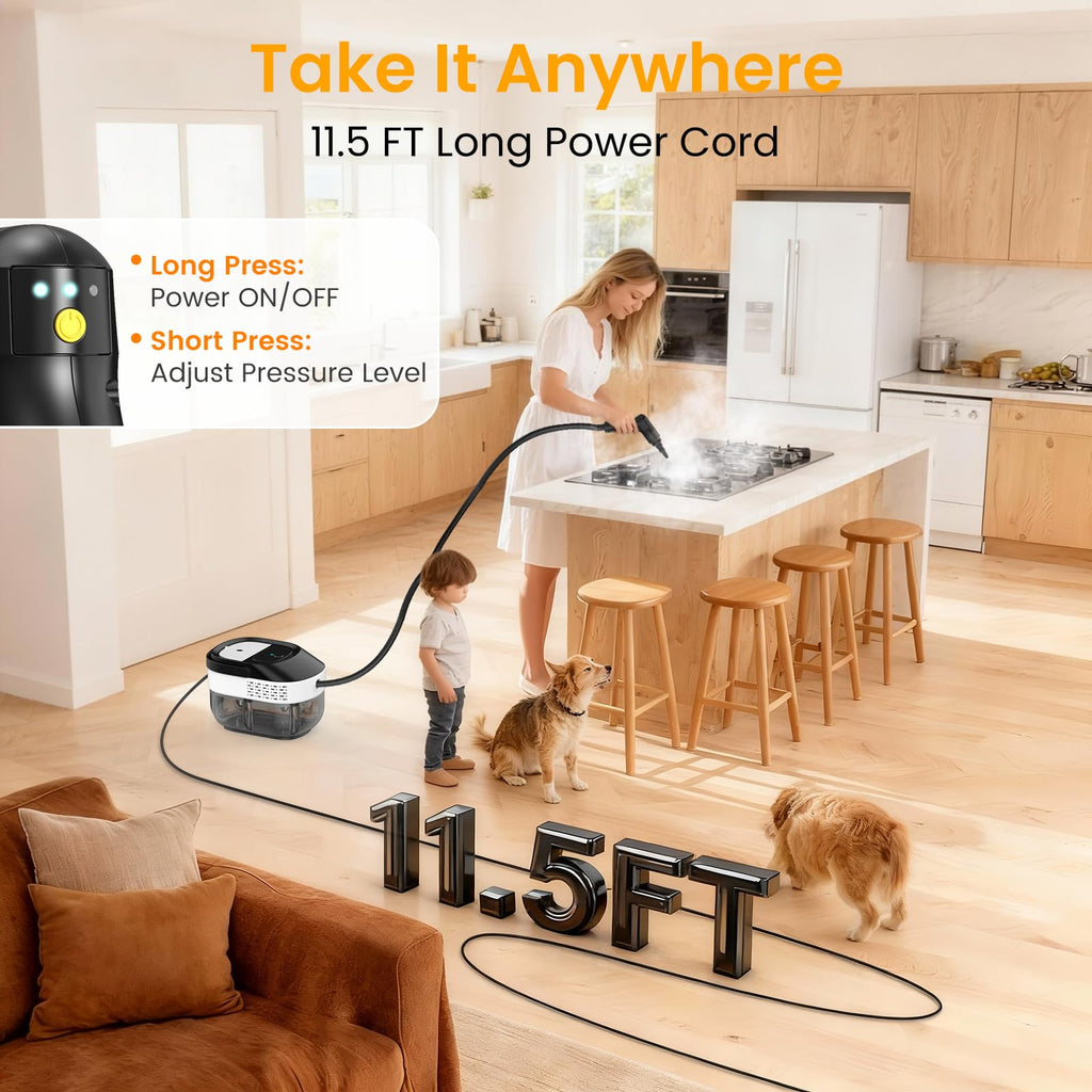 1600ML Handheld Steam Cleaner Y672