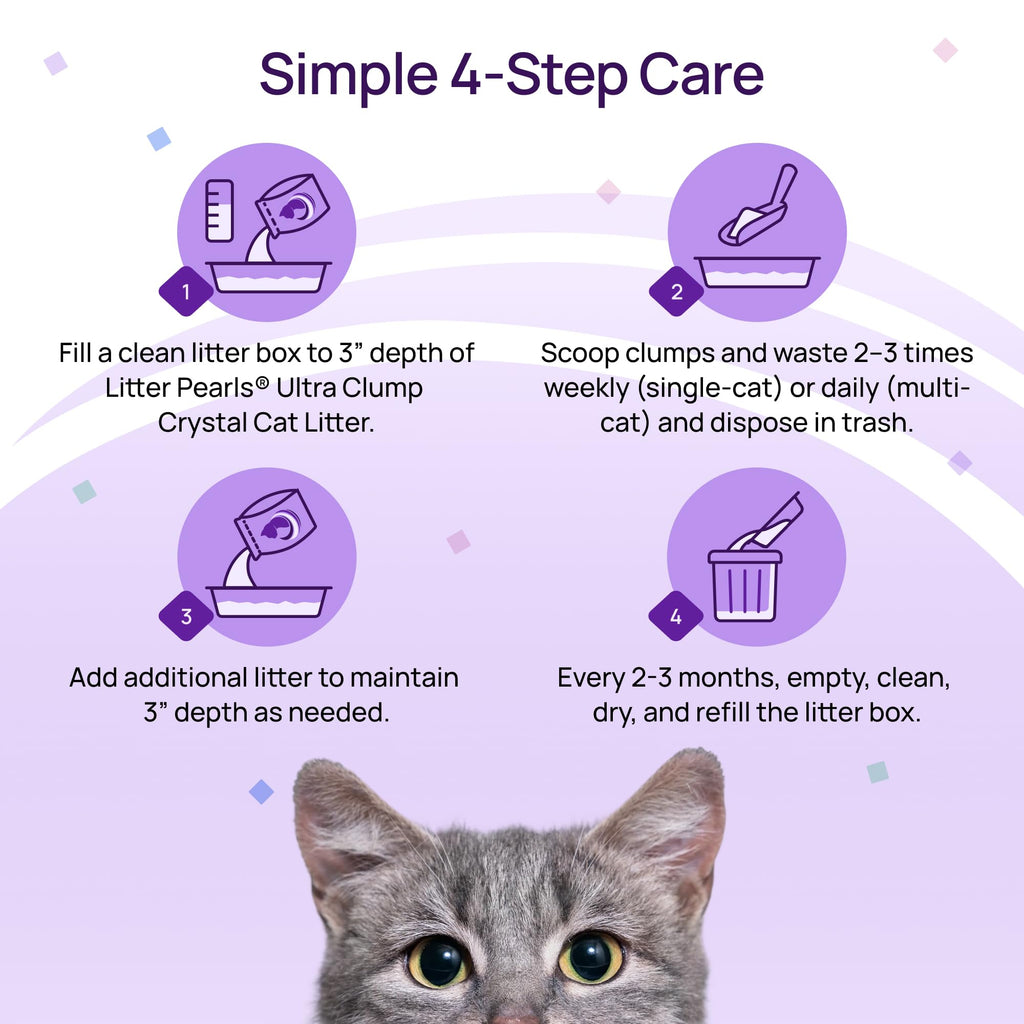 Unscented Crystal Clumping Cat Litter 8lb V3440