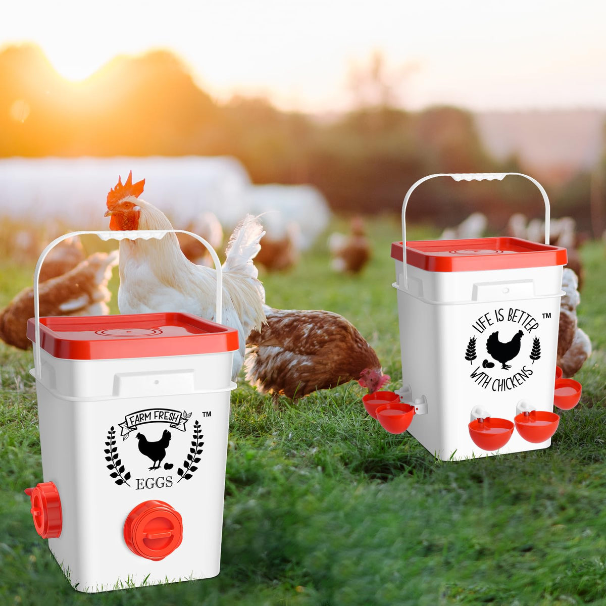 5Gal/25Lb Chicken Feeder and Waterer Set with S-Hooks H959