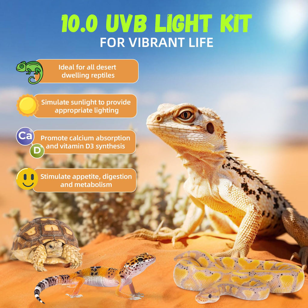 24W 10.0 T5 UVB Reptile Light Fixture Combo Kit 22inch Terrarium Hood O2886