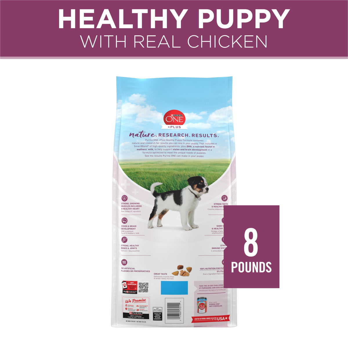 Chicken Dry Puppy Food 8 lb Bag Q45748