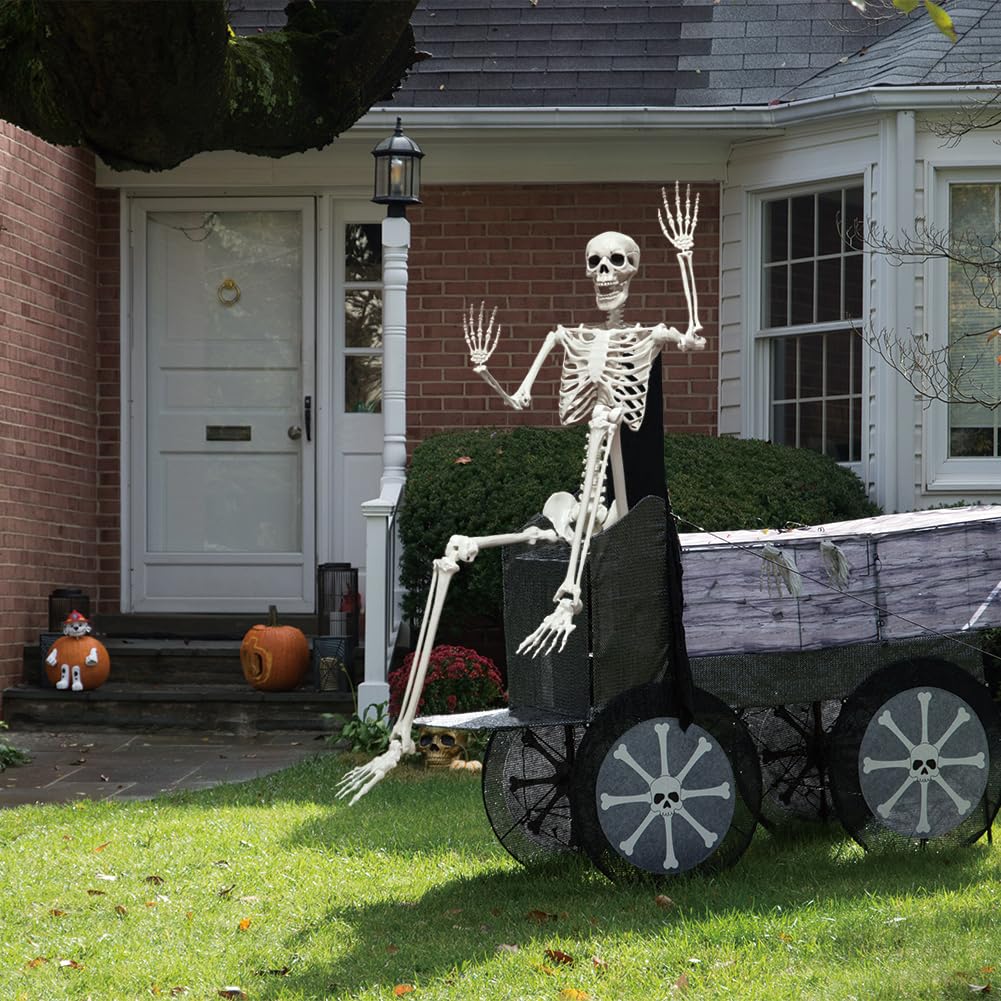 5.9FT Poseable Life Size Skeleton with Movable Joints V594