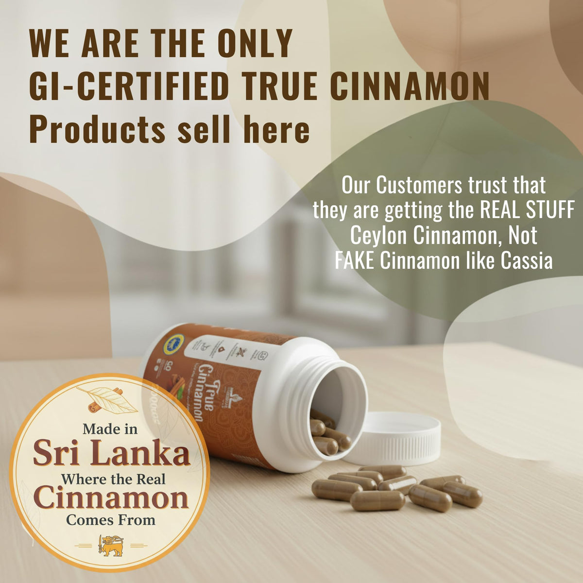 Pure Ceylon Cinnamon Capsules, 2,000mg, Non-GMO, Gluten-Free B360927