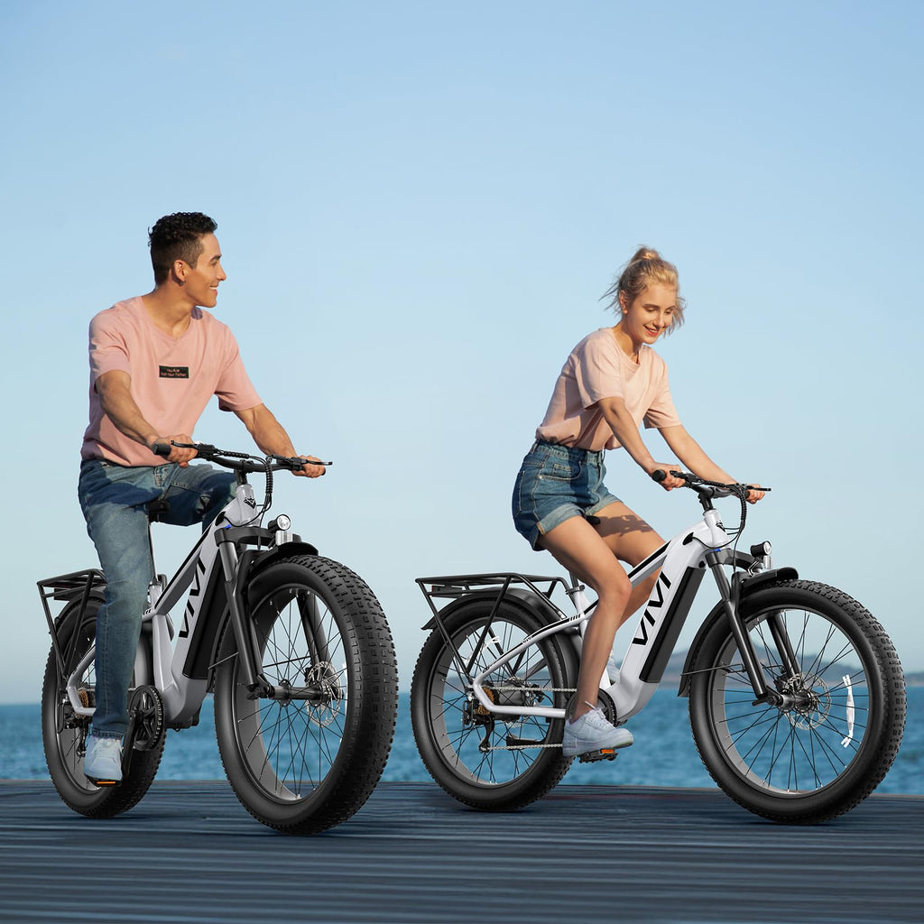 Electric Bike 26 x 4.0 Fat Tire 1500W Peak Motor Z980148