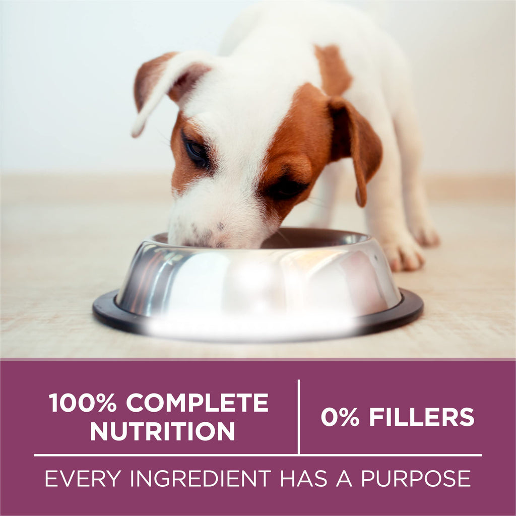 Chicken Dry Puppy Food 8 lb Bag Q45748