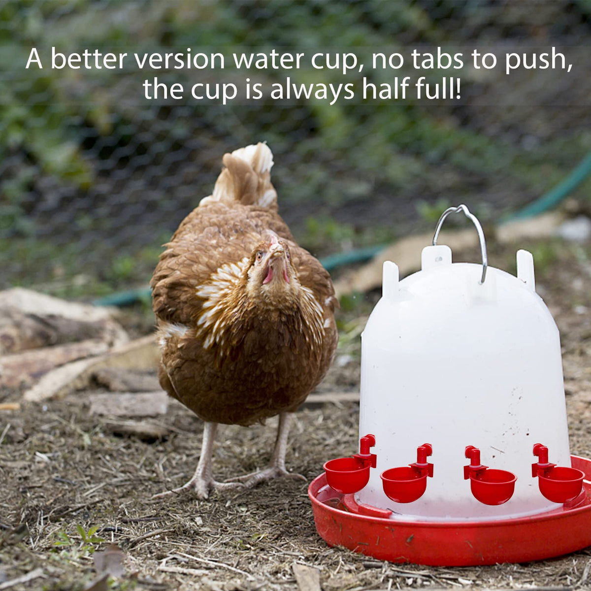 Automatic Poultry Waterer Drinking Bowl K19445