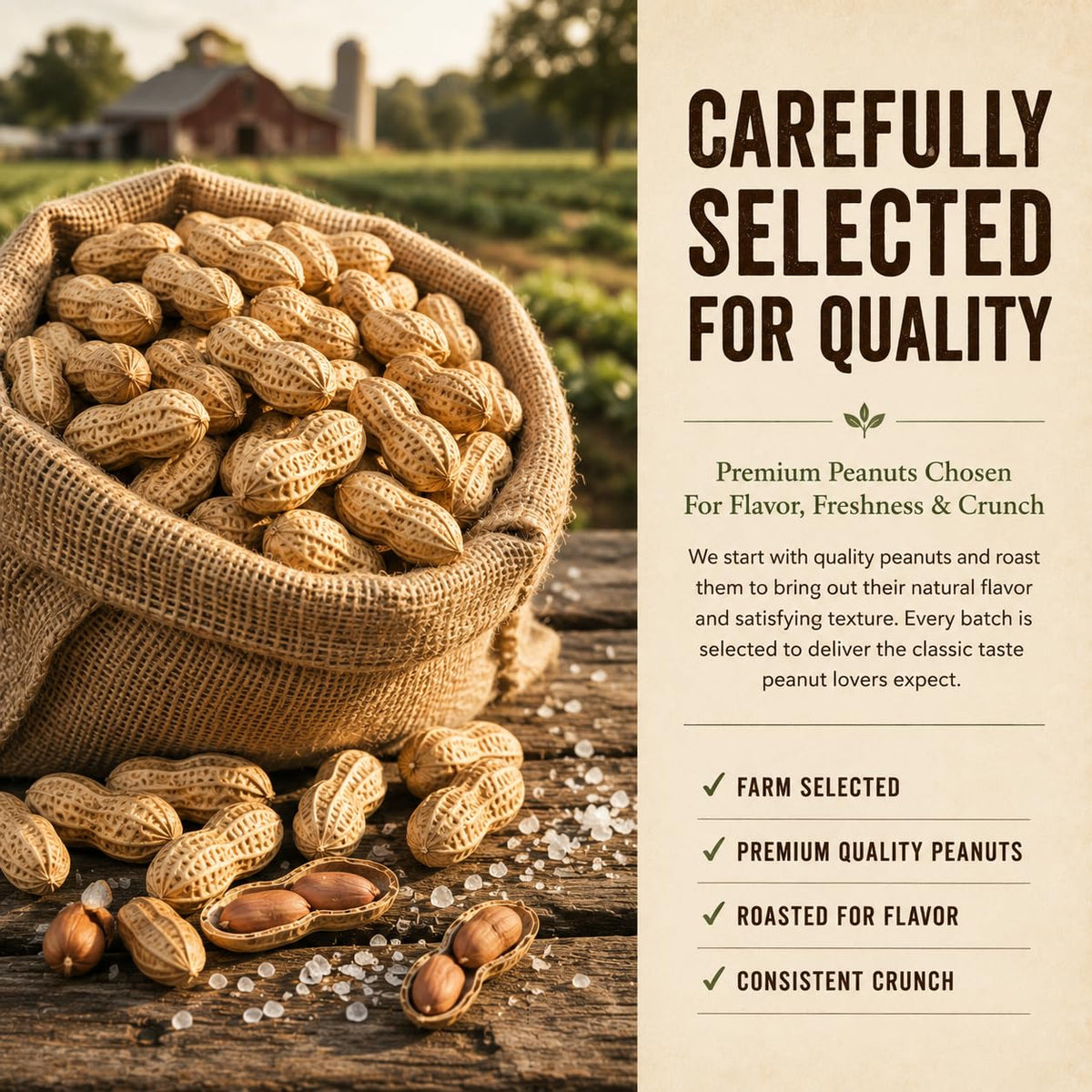 Roasted Salted Peanuts In Shell 4 LB C494172