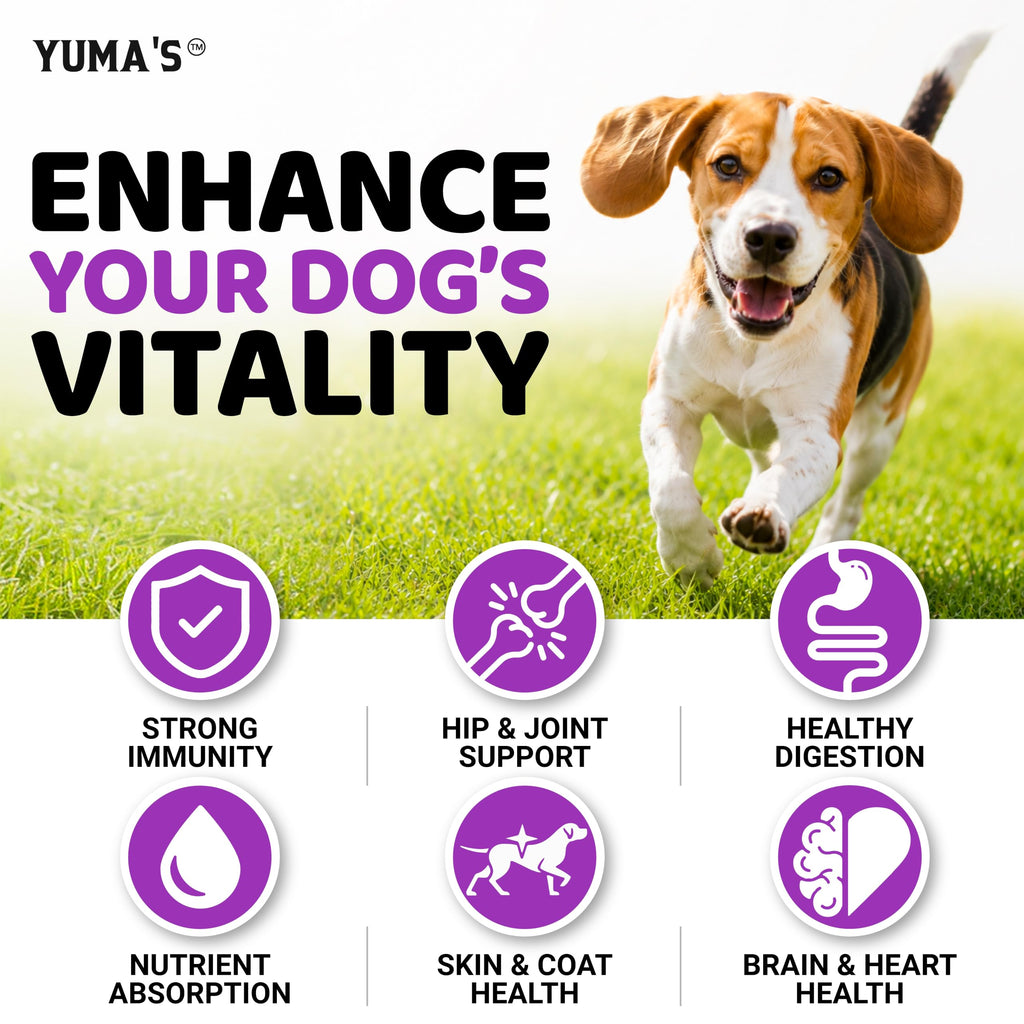 Dog Multivitamin with Glucosamine, 240 Treats Z967491