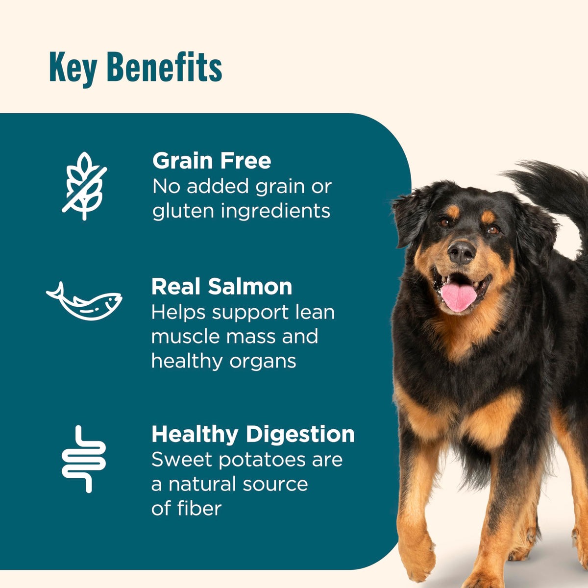 Grain Free Salmon Dry Dog Food 23 lb. Bag A4582
