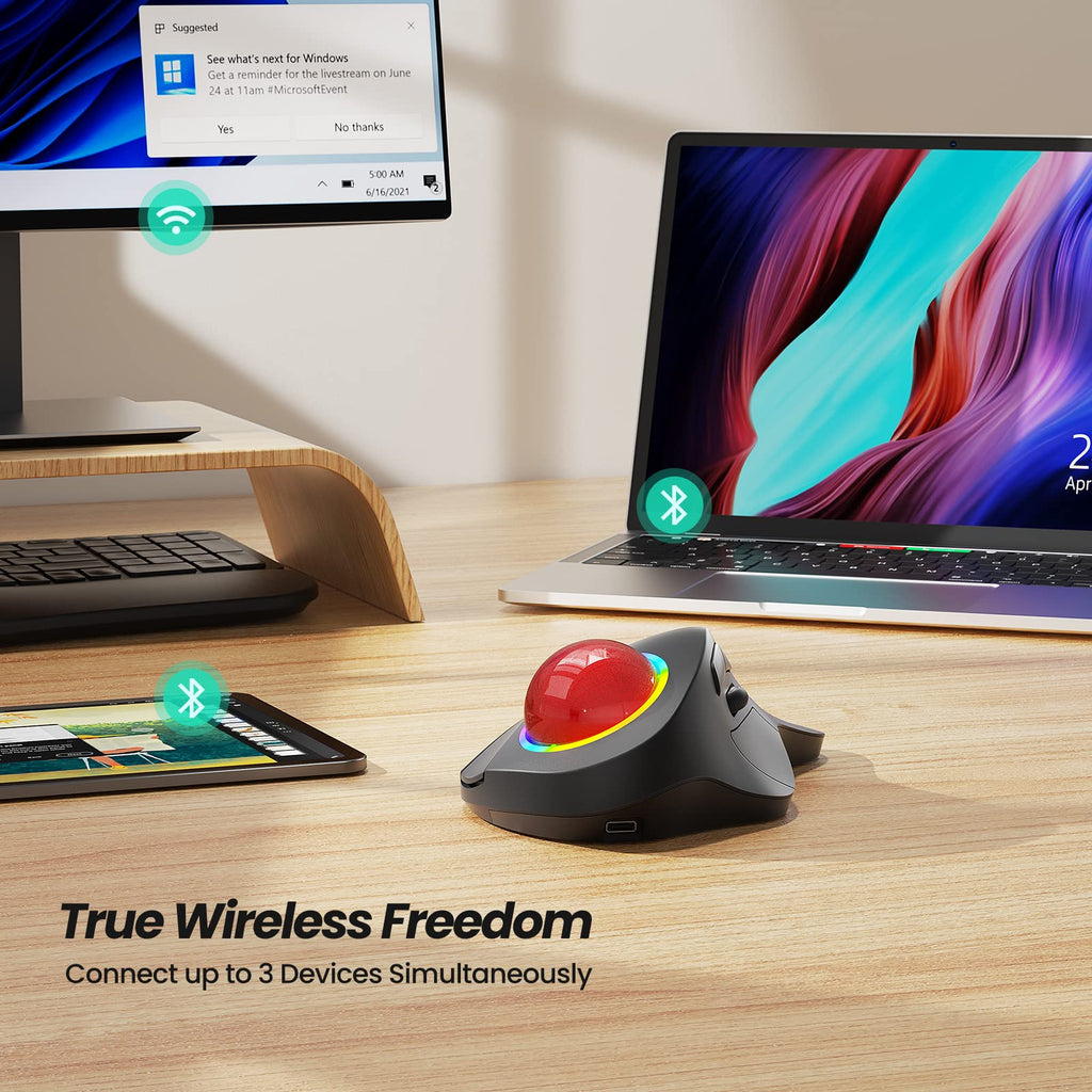 Wireless Ergonomic RGB Trackball Mouse R8265