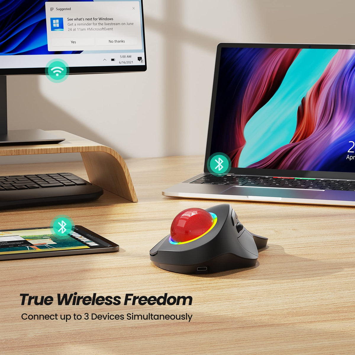 Wireless Ergonomic RGB Trackball Mouse R8265