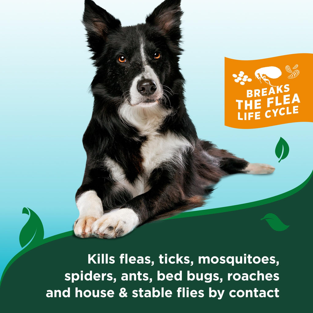 Waterless Flea & Tick Bath for Dogs 8 oz V107