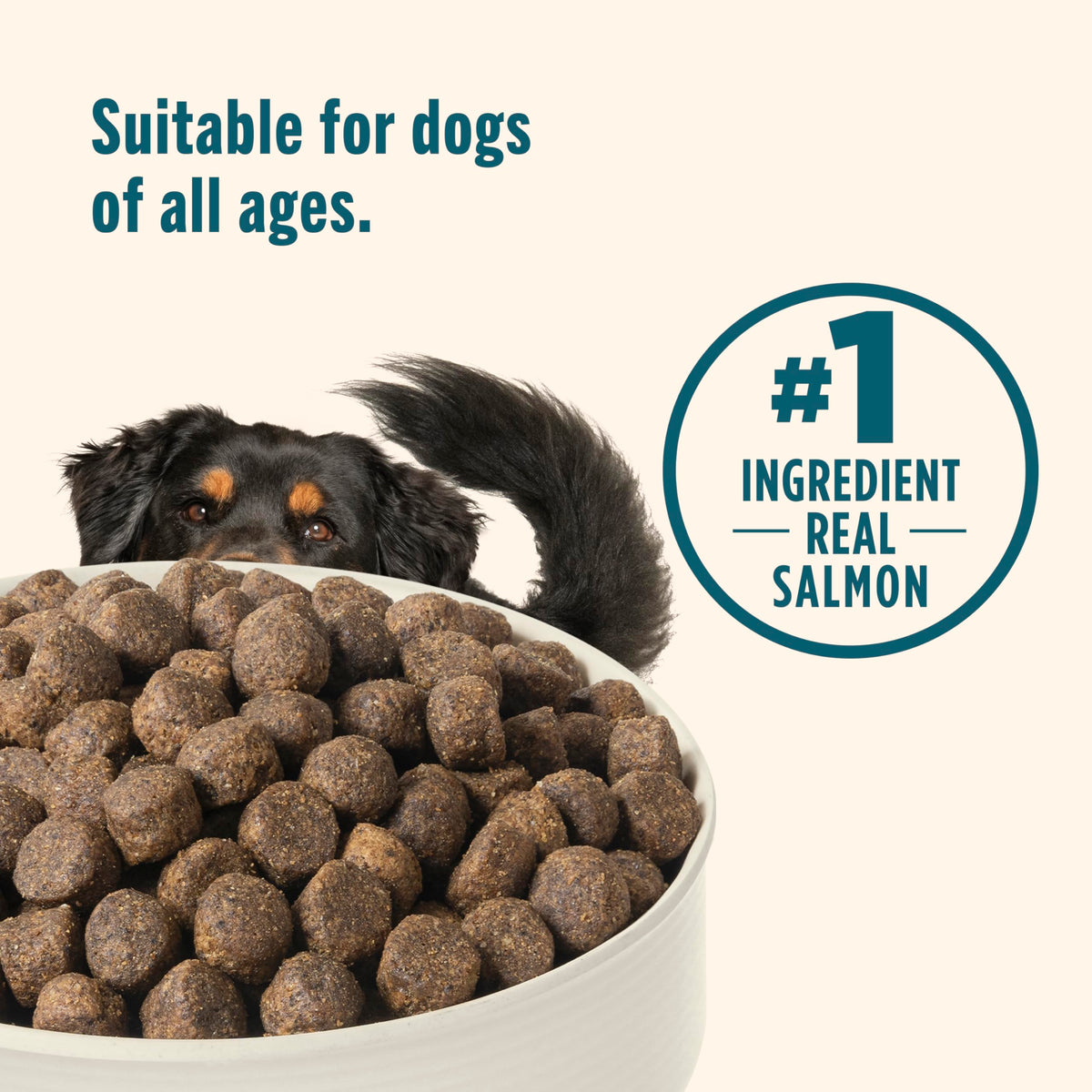 Grain Free Salmon Dry Dog Food 23 lb. Bag A4582