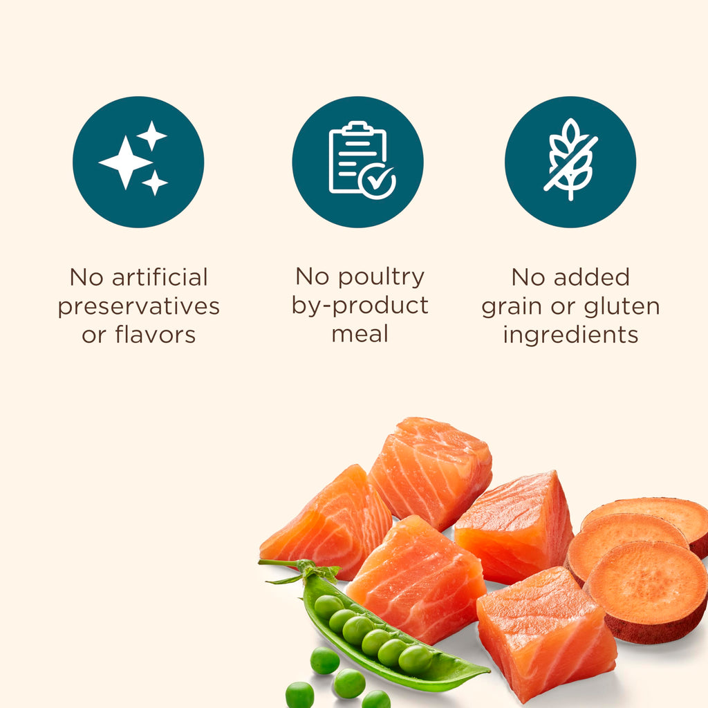 Grain Free Salmon Dry Dog Food 23 lb. Bag A4582