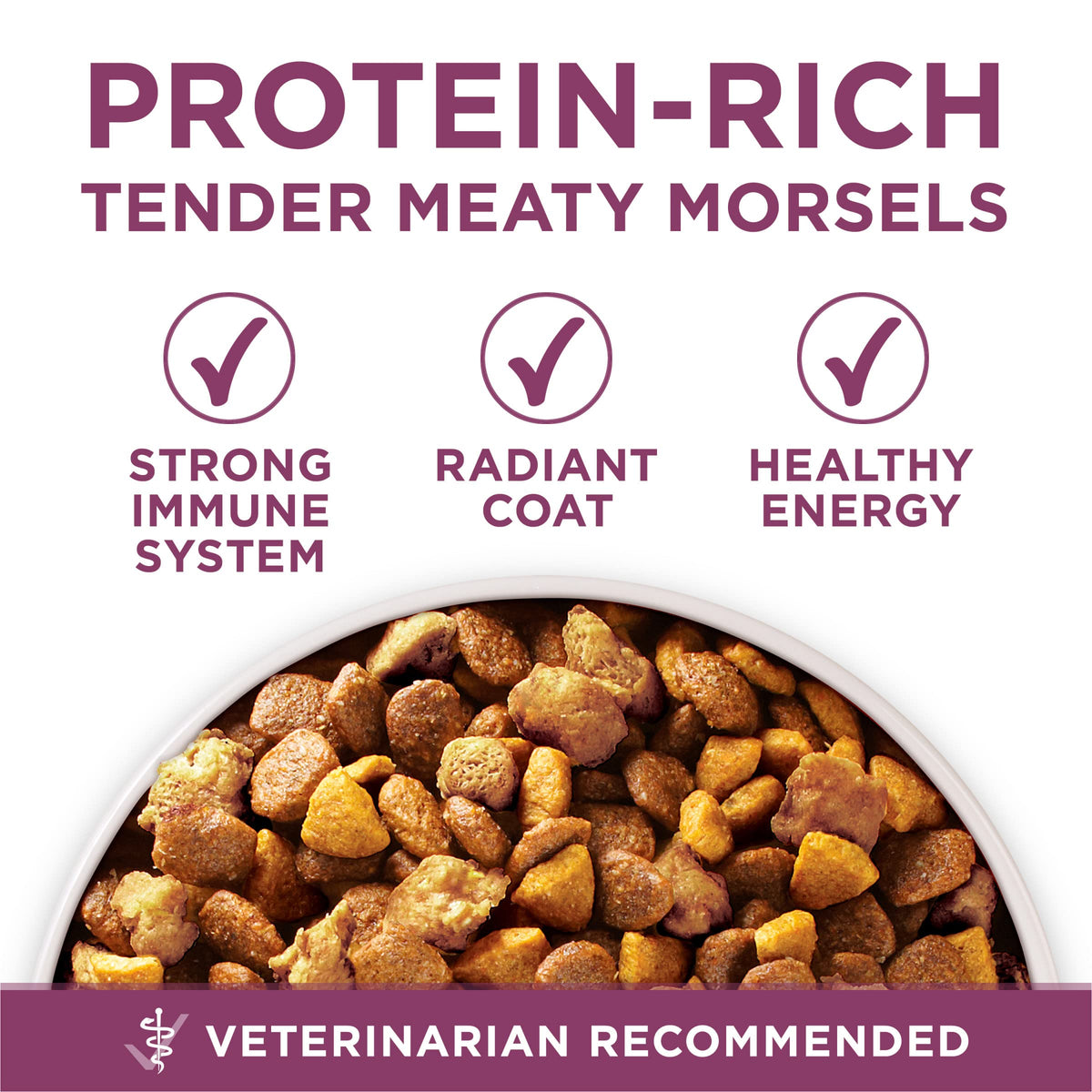 Chicken Dry Puppy Food 8 lb Bag Q45748