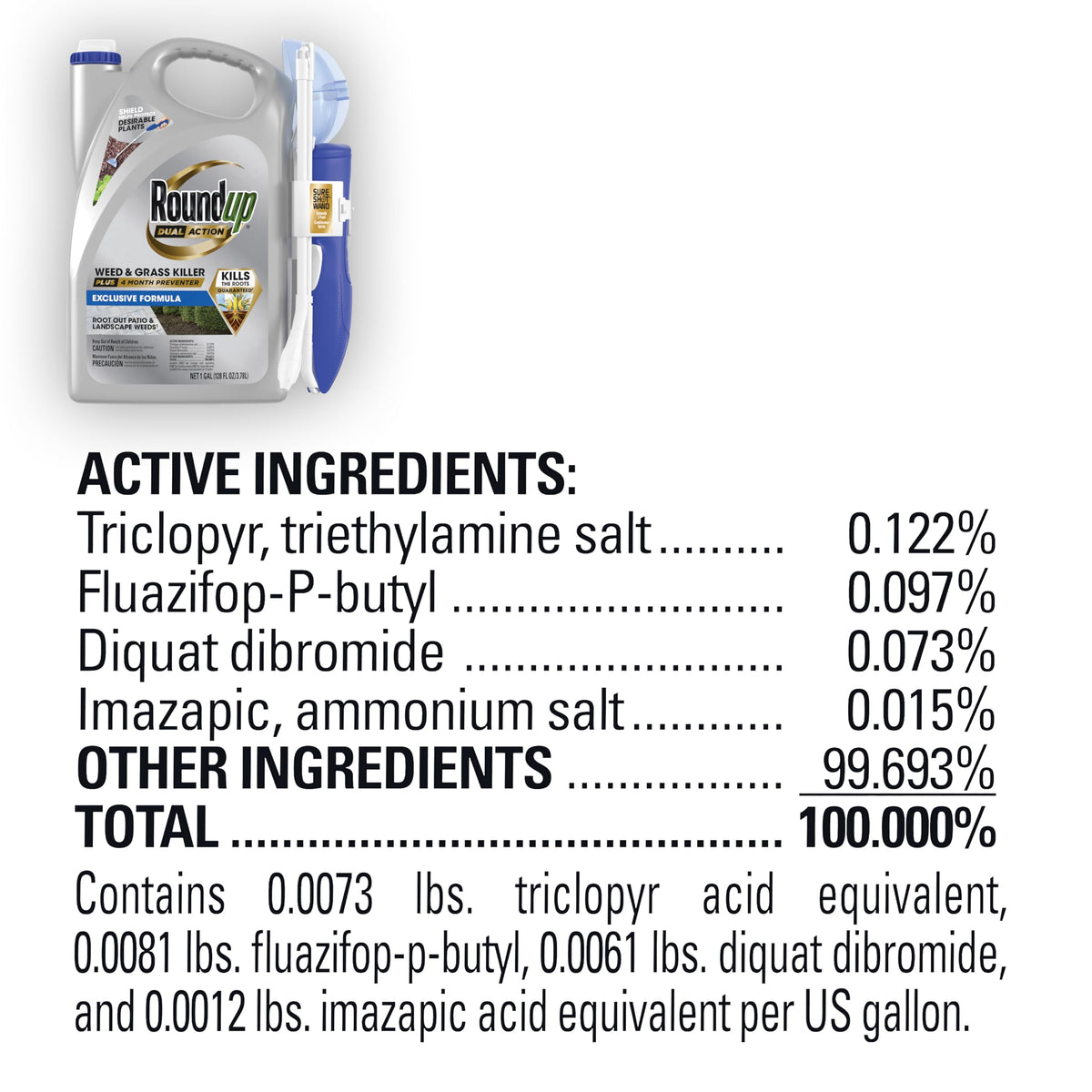 Dual Action Weed & Grass Killer with Wand, 1 gal. C619932