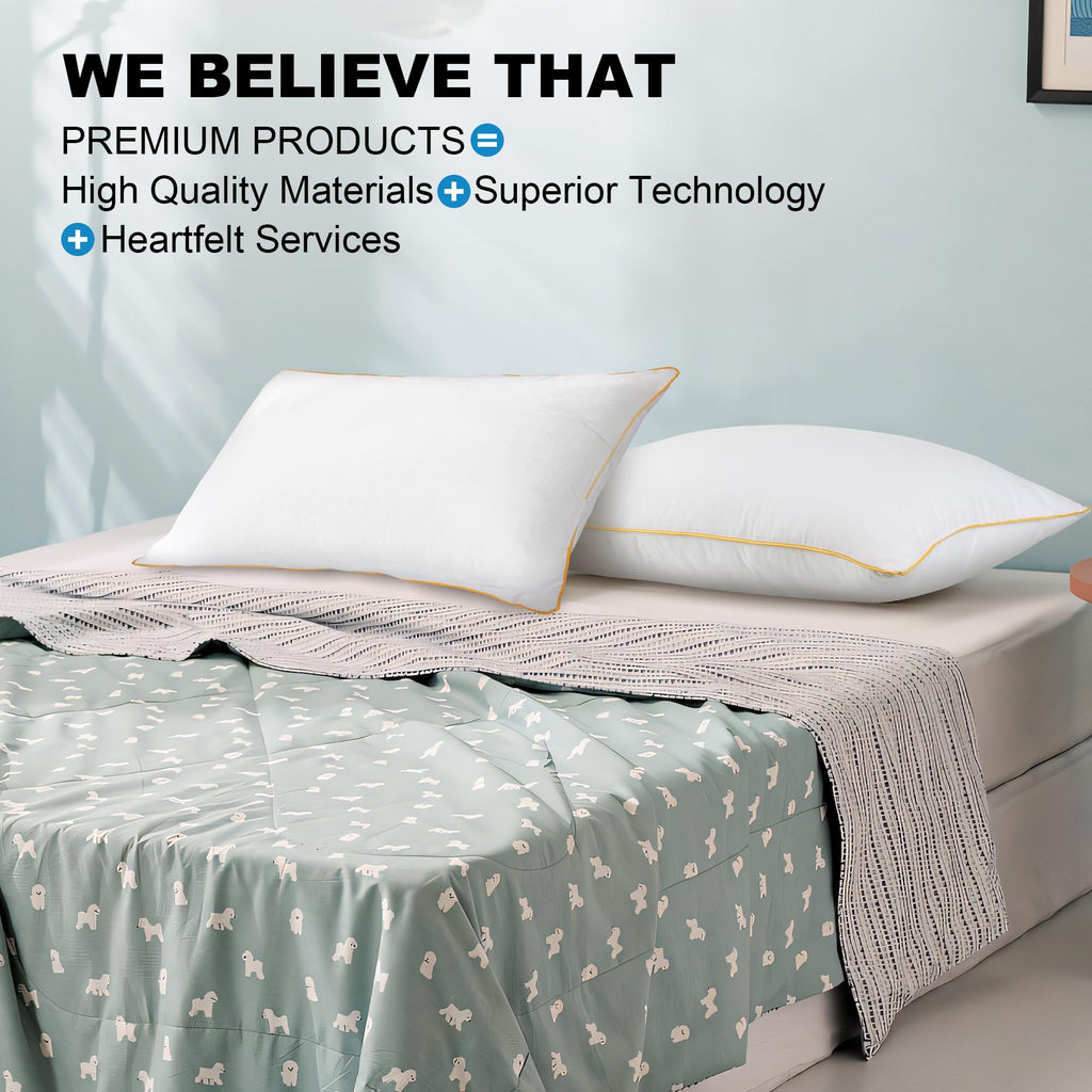 King Size Down Alternative Pillows Set of 2 I8921